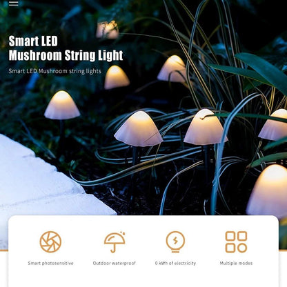 Colorful Solar Powered Fairy String Lights