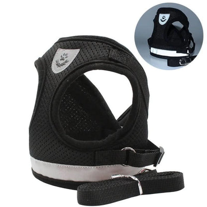 Safe Cat Harness with Reflective Straps