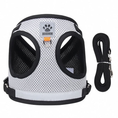 Safe Cat Harness with Reflective Straps