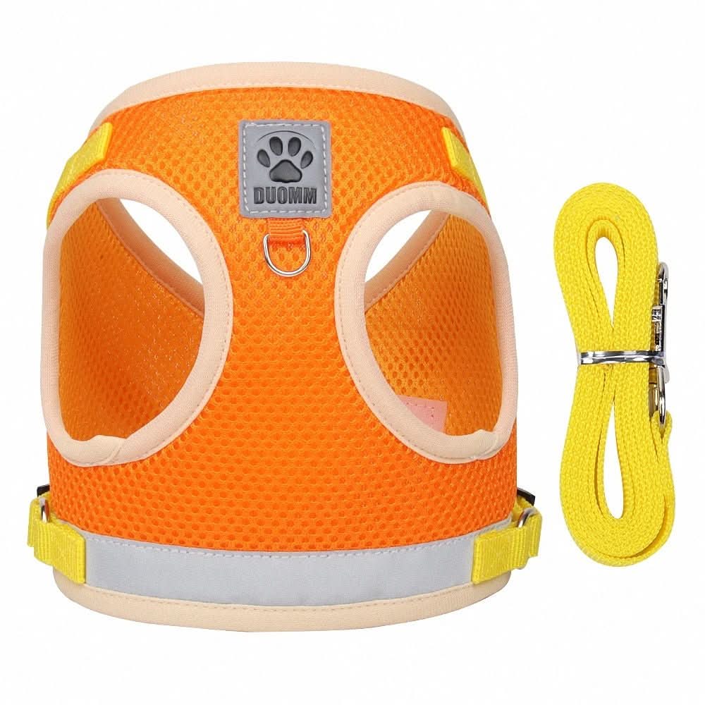 Safe Cat Harness with Reflective Straps
