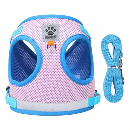 Safe Cat Harness with Reflective Straps