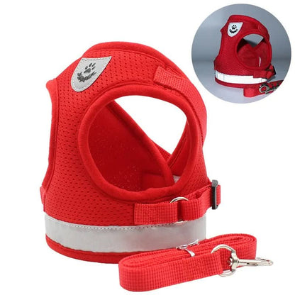 Safe Cat Harness with Reflective Straps