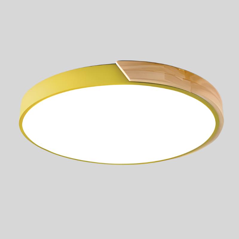Simple Round LED Ceiling Lamp