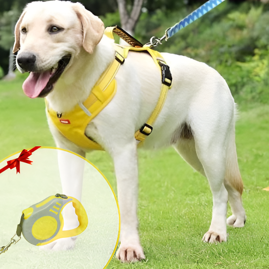 Comfortable Pet Harness - Adjustable No Pull Dog Vest