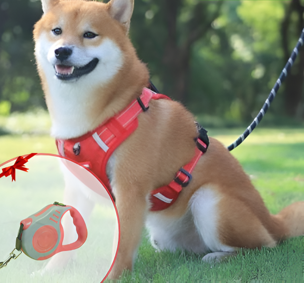 Comfortable Pet Harness - Adjustable No Pull Dog Vest