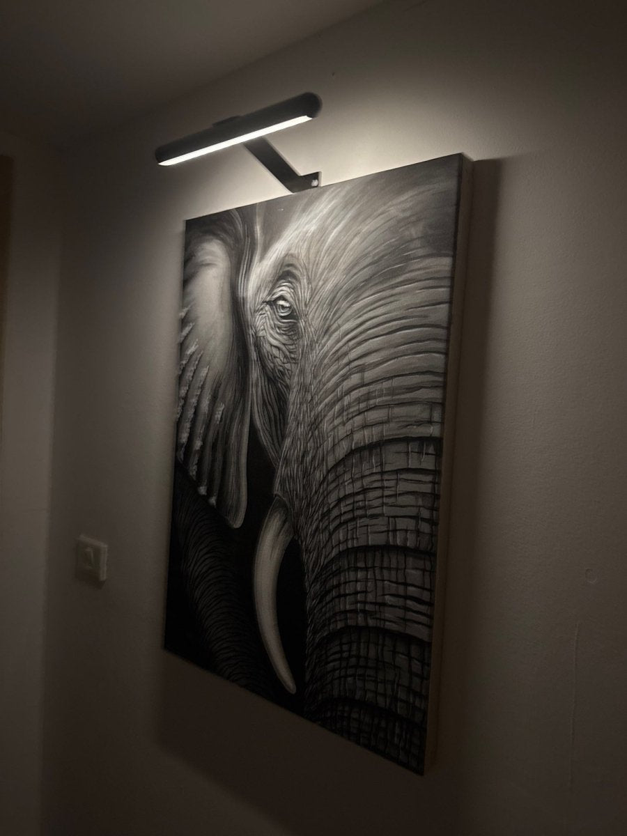 Wireless Battery LED Wall Light for Art Decoration