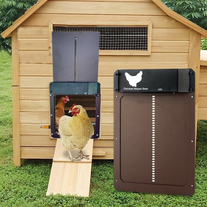 Easy Auto Chicken Coop Door Opener