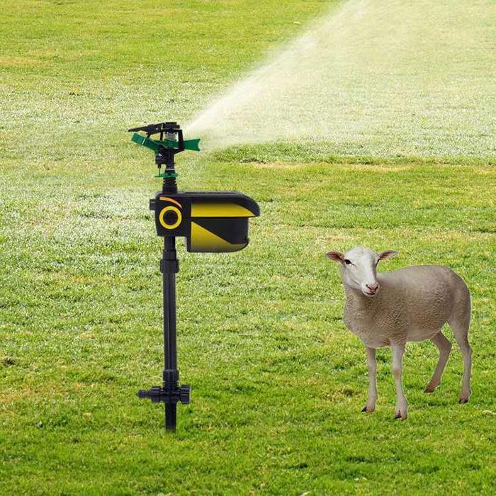 Motion Activated Animal Repellent Yard Sprinkler - Cofik