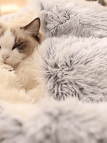 Cozy Pet Hideaway Bed