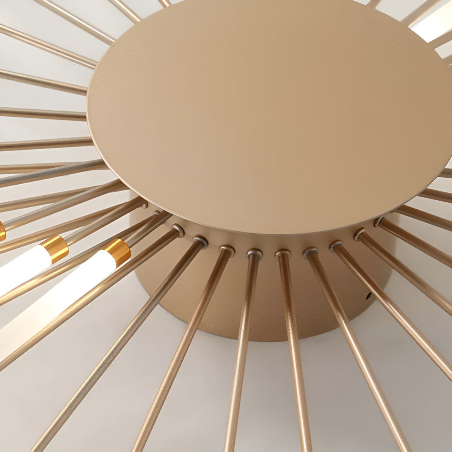 Contemporary LED Ceiling Lamp