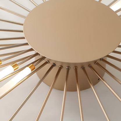 Contemporary LED Ceiling Lamp
