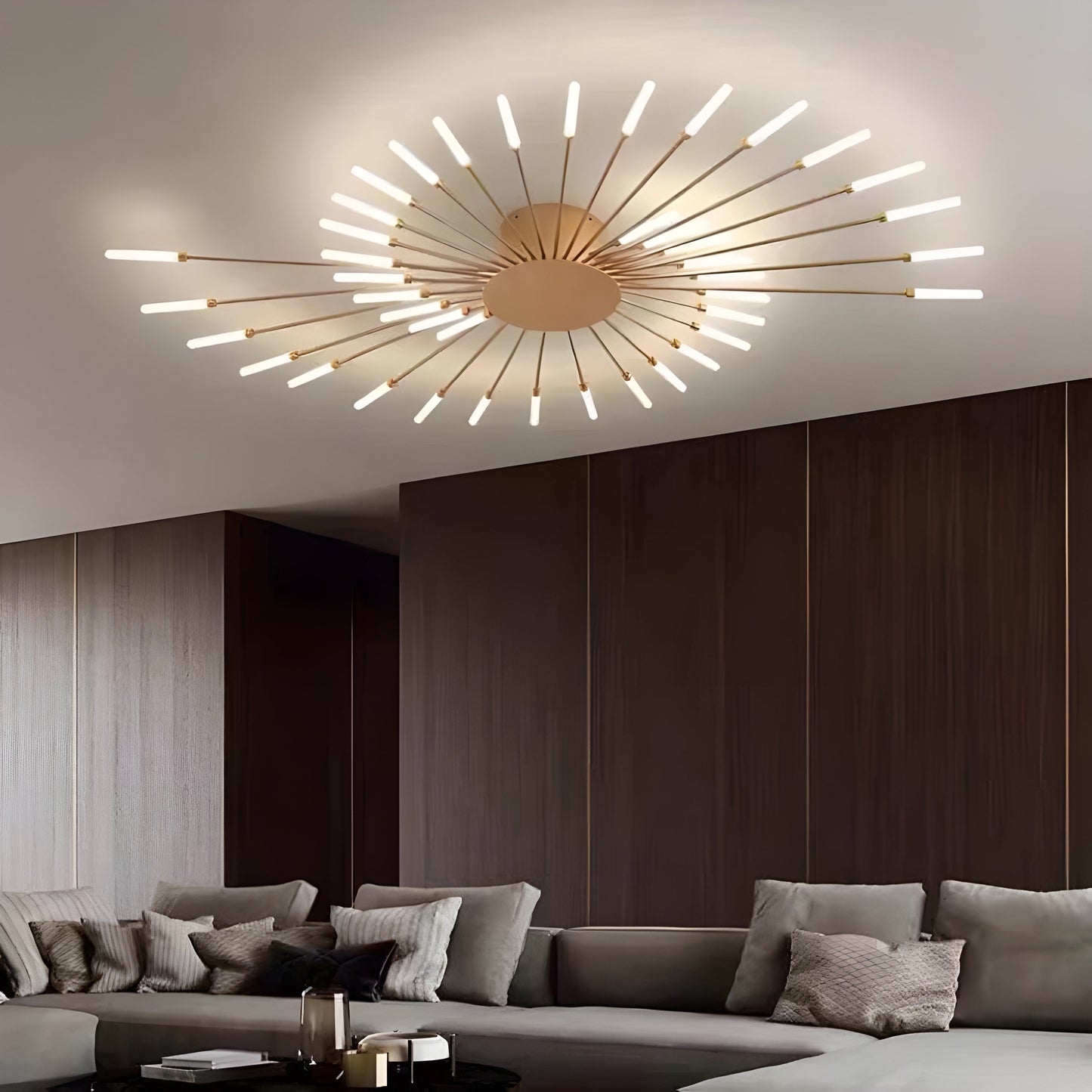 Contemporary LED Ceiling Lamp