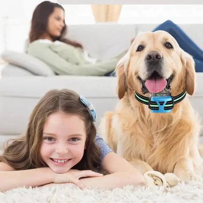 Effective No Bark Training Collar