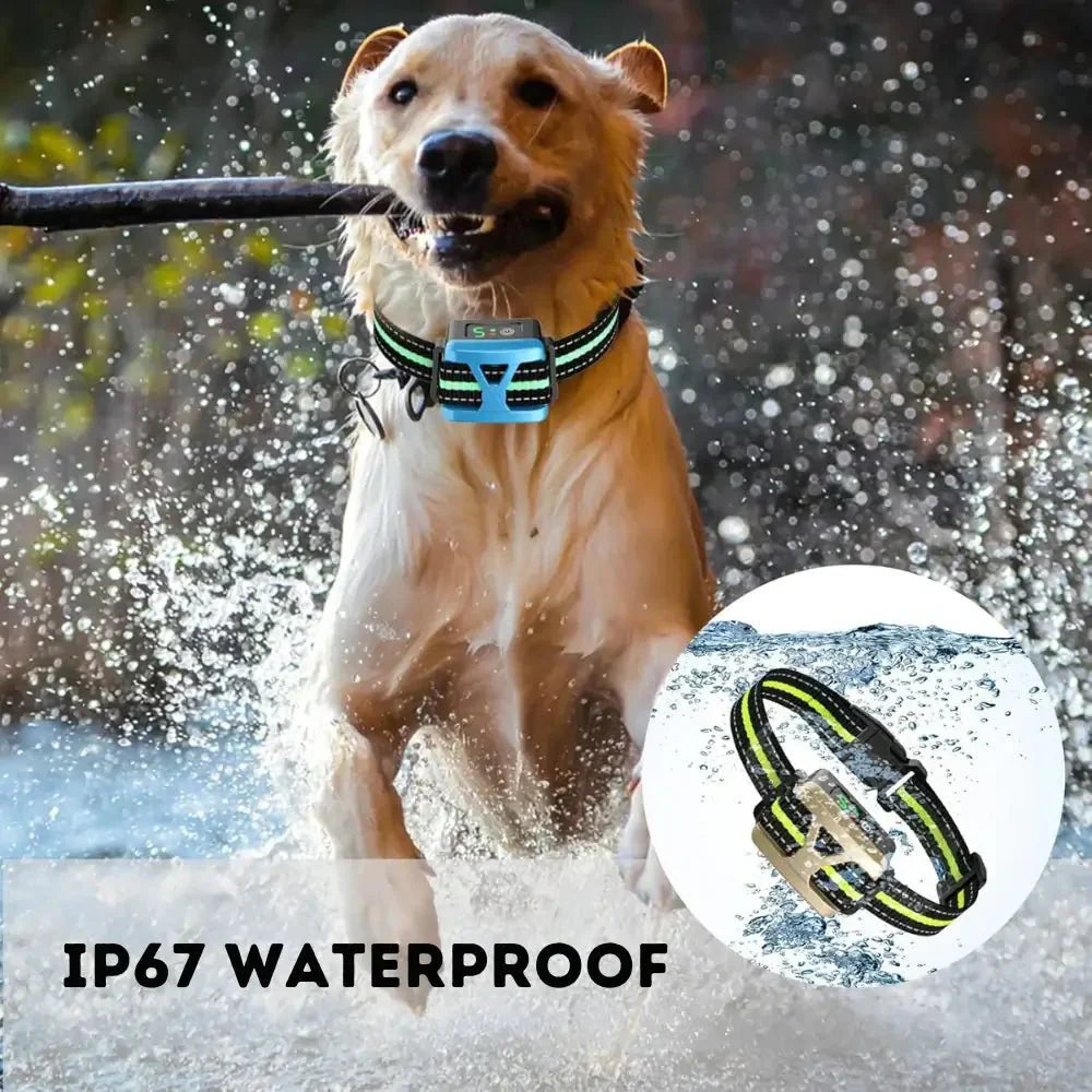 Effective No Bark Training Collar
