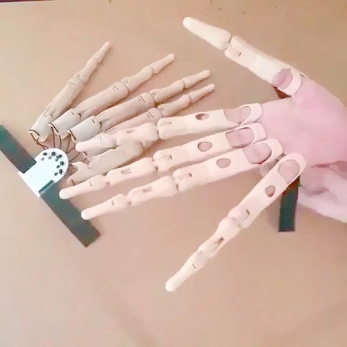 Spooky Claw Halloween Finger Props - Cofik