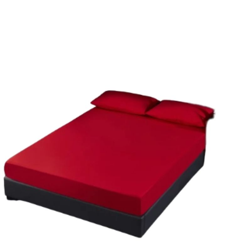 Bed Bug Mattress Cover