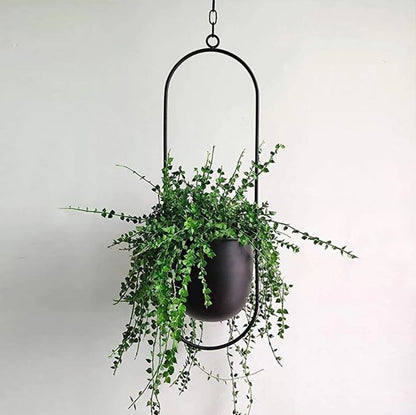 Modern Macrame Plant Hangers