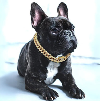 Luxury Pet Gold Link Dog Collar - Cofik