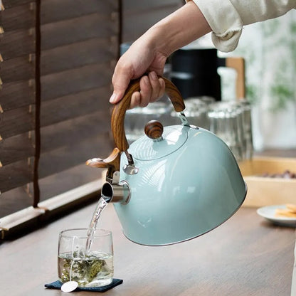 Premium Stainless Steel Whistling Kettle - Big Capacity