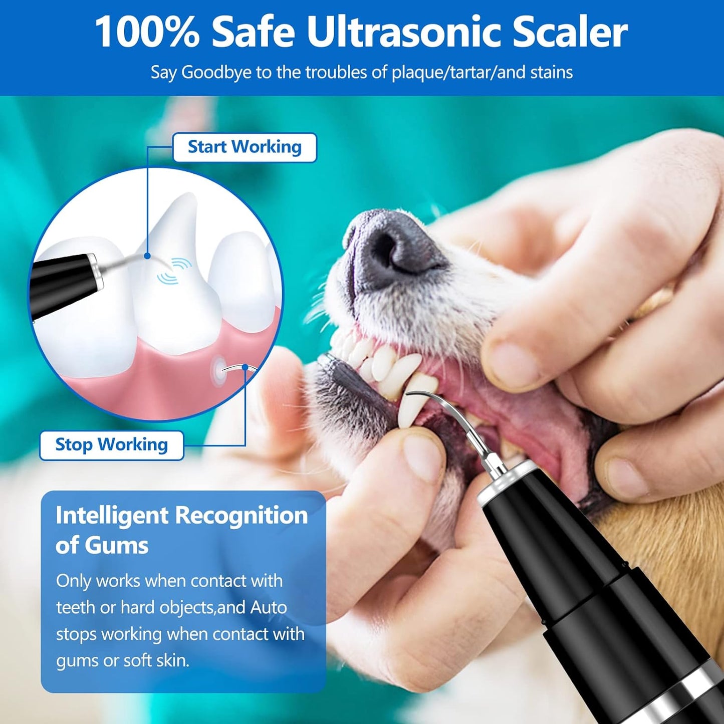 Pet Dental Care Ultrasonic Cleaning Kit Set