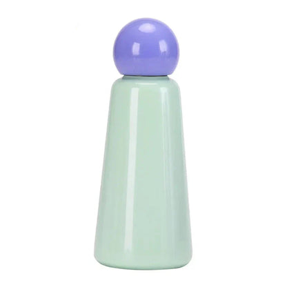 Insulated Thermal Water Bottle