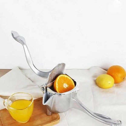 Summer Stainless Steel Cold Press Juicer