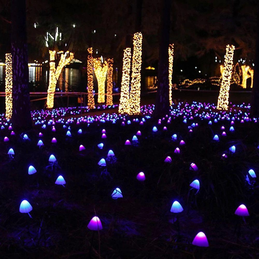 Colorful Solar Powered Fairy String Lights