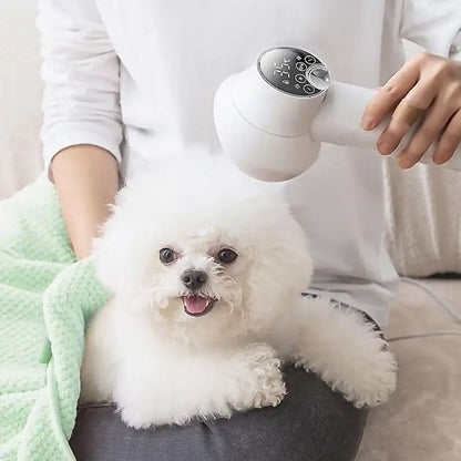 Silent Pet Hair Dryer with Advanced Ion Technology