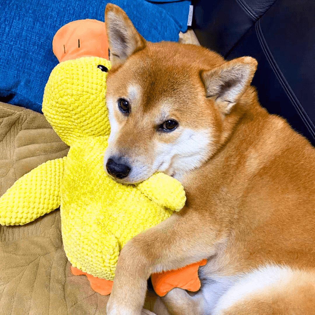 Soothing Dog Companion Toy