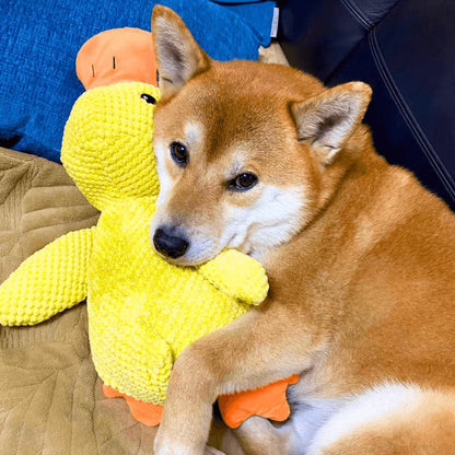 Soothing Dog Companion Toy