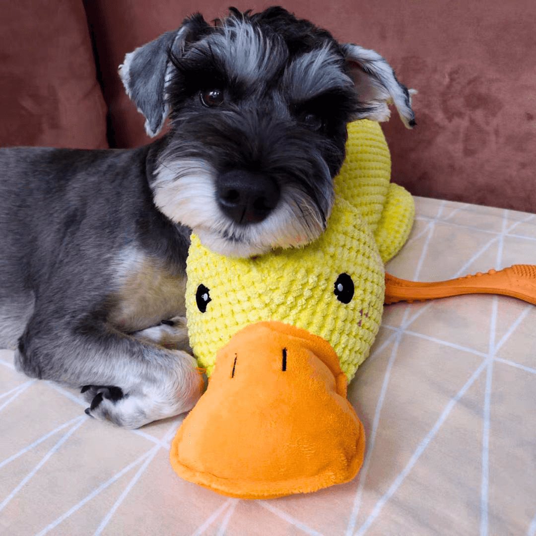 Soothing Dog Companion Toy