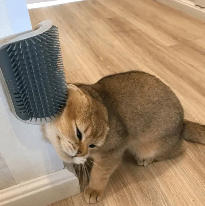 Cat Grooming Brush Corner - Pet Fur Cleaner