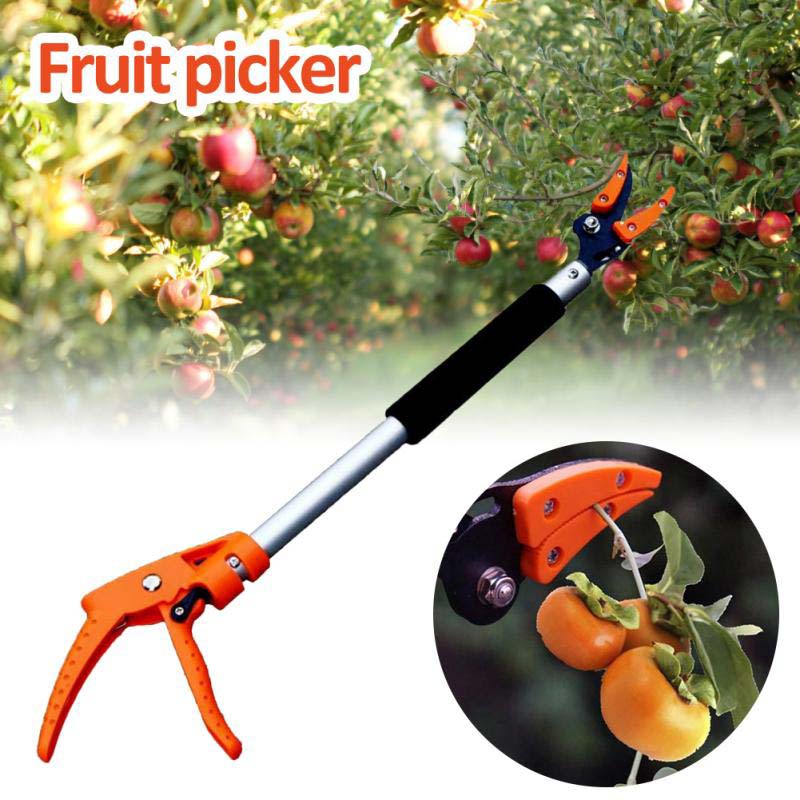 Easy Reach Hedge Cutting Tool