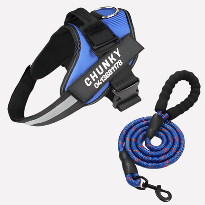 Charly | Customizable Anti-Pull Dog Harness