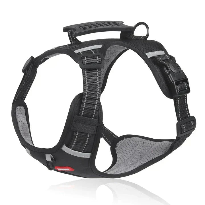 Charly | Dog No-Pull Harness with Padded Comfort and Control Handle