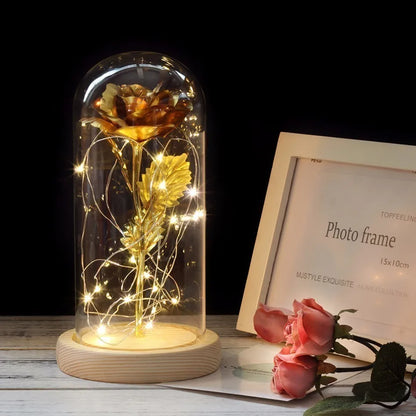 Charly – Eternal Rose in Glass Dome with Atmospheric LED Lighting