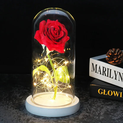 Charly – Eternal Rose in Glass Dome with Atmospheric LED Lighting