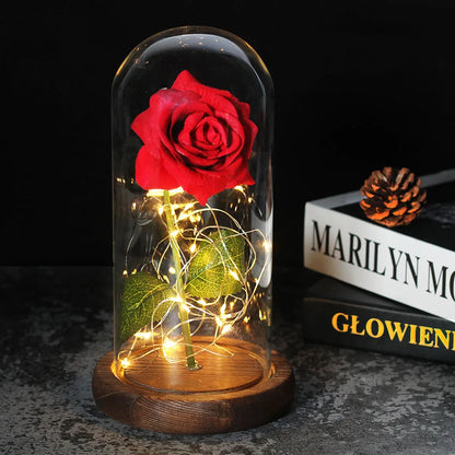 Charly – Eternal Rose in Glass Dome with Atmospheric LED Lighting
