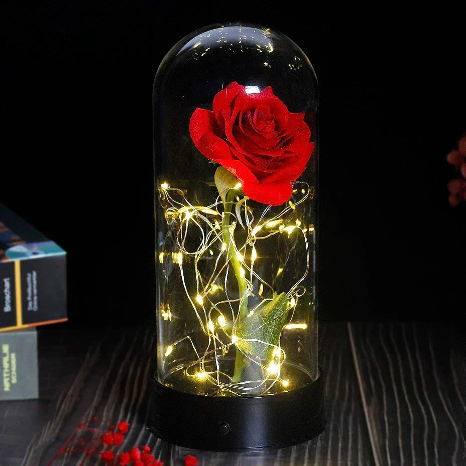 Charly – Eternal Rose in Glass Dome with Atmospheric LED Lighting