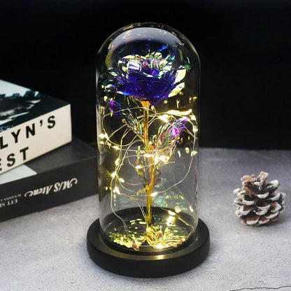 Charly – Eternal Rose in Glass Dome with Atmospheric LED Lighting