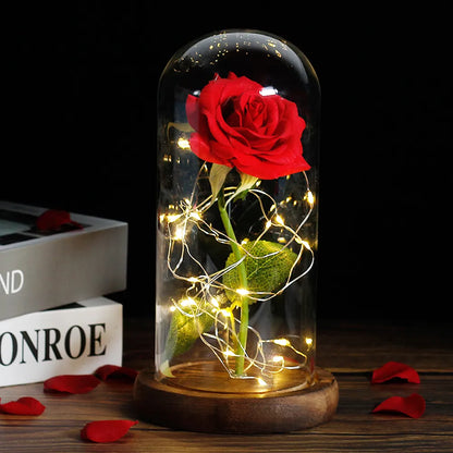 Charly – Eternal Rose in Glass Dome with Atmospheric LED Lighting