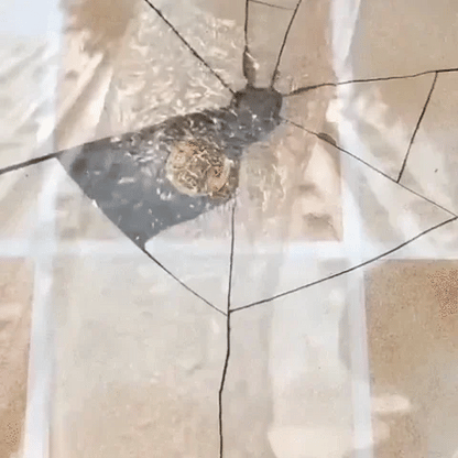 Charly | Invisible Waterproof Sealant for Surfaces