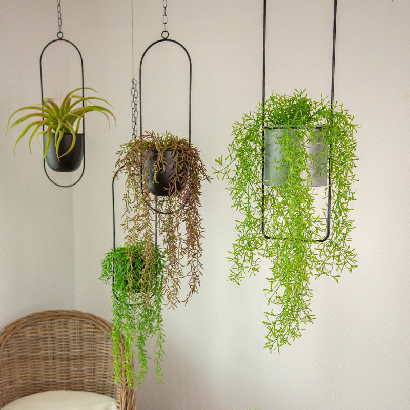Charly | Luxury Modern Hanging Pots