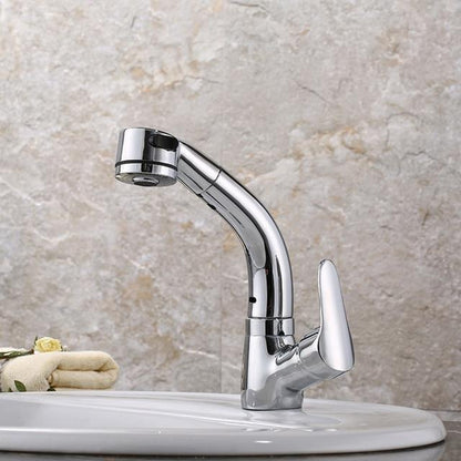 360 Degree Pull Out Shower Faucet
