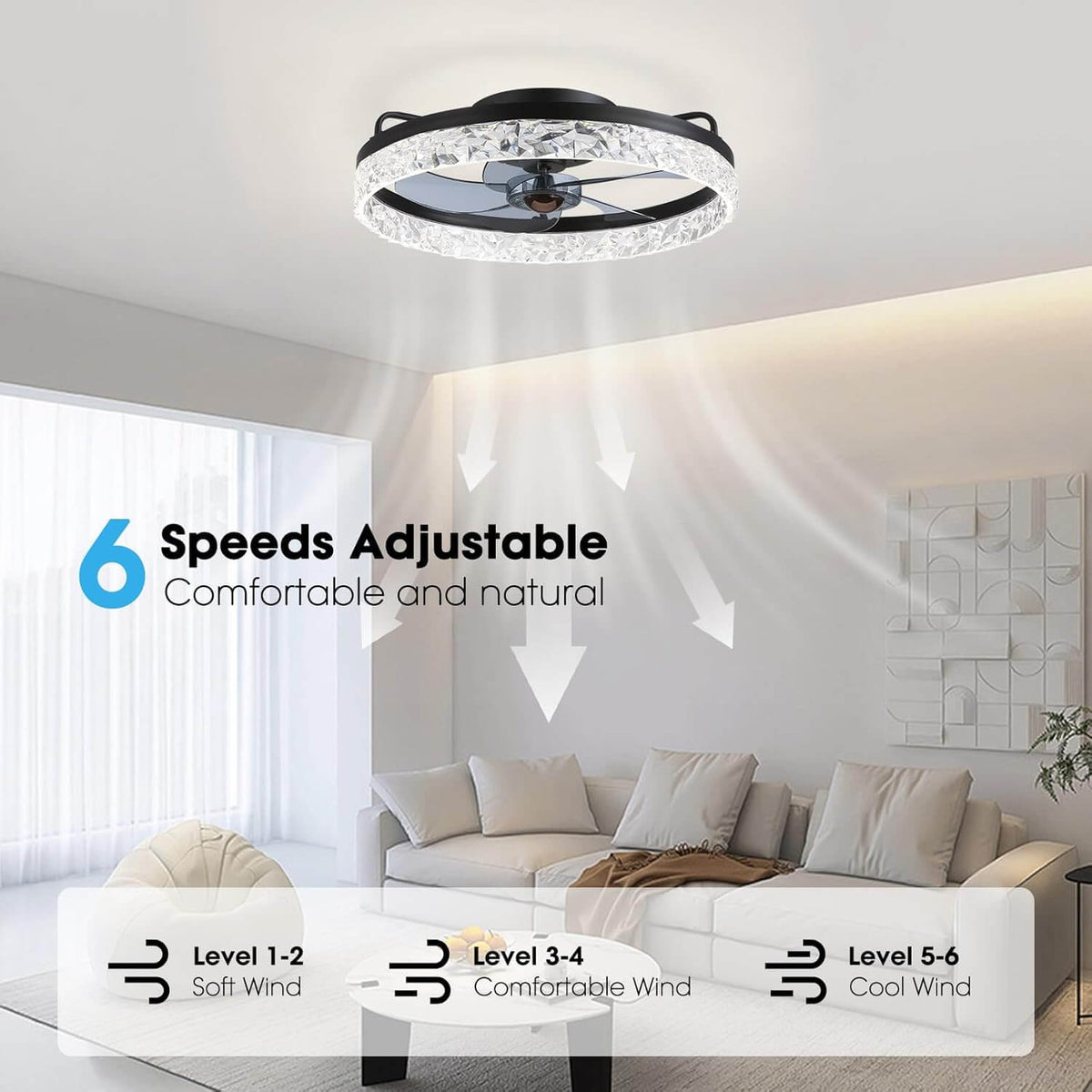 Stylish Black LED Ceiling Fan Light