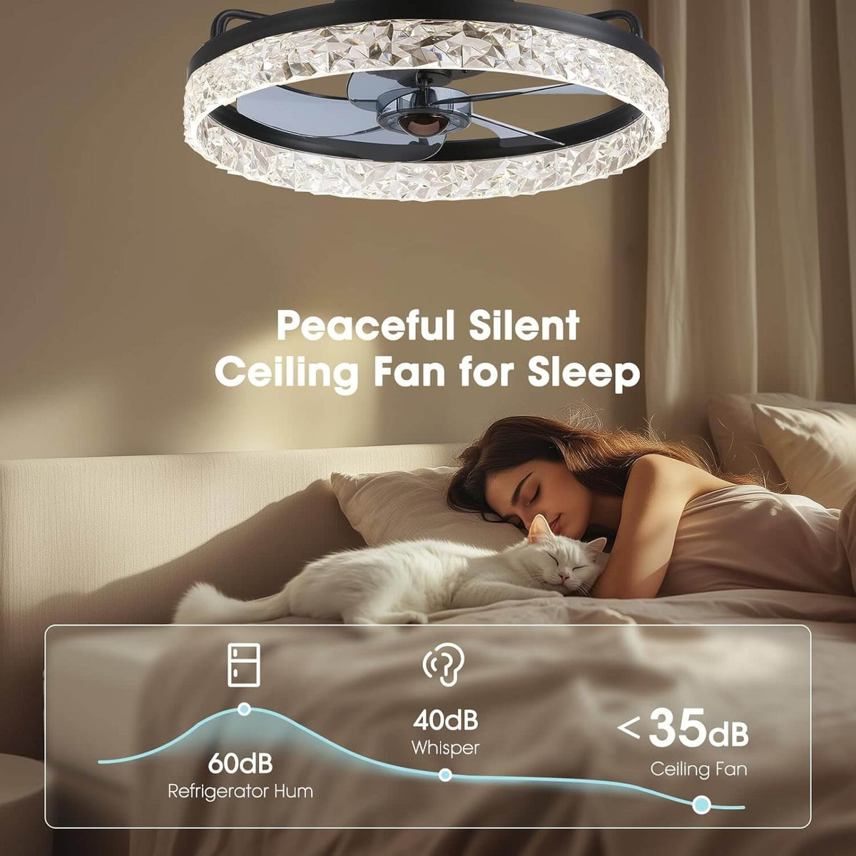 Stylish Black LED Ceiling Fan Light