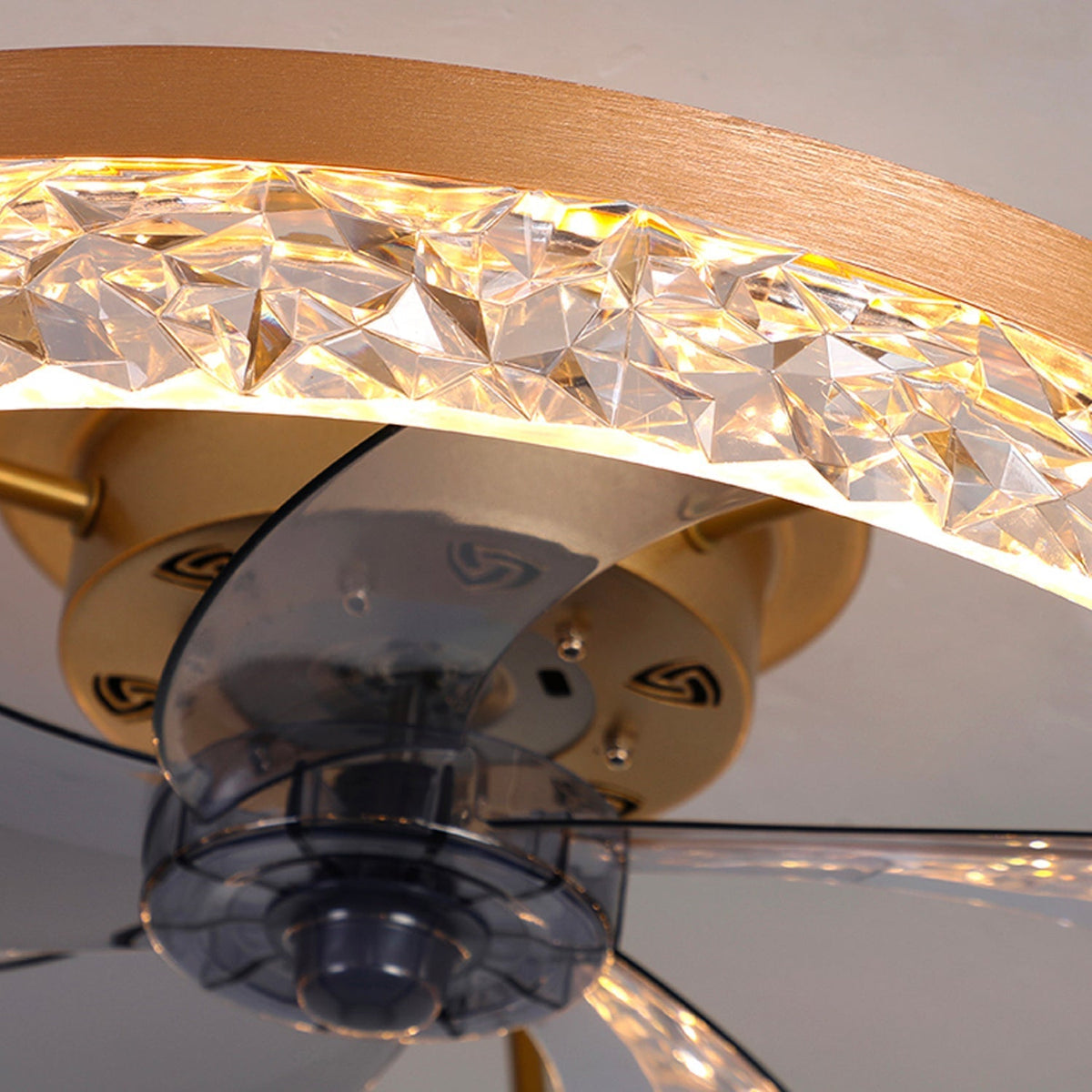 Stylish Black LED Ceiling Fan Light