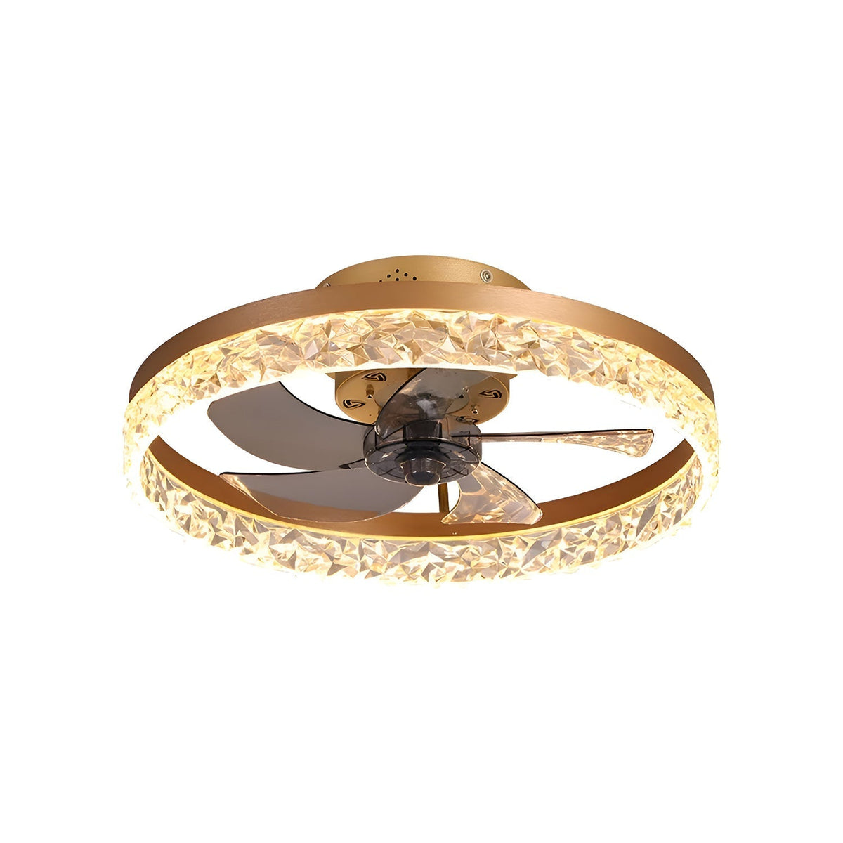 Stylish Black LED Ceiling Fan Light