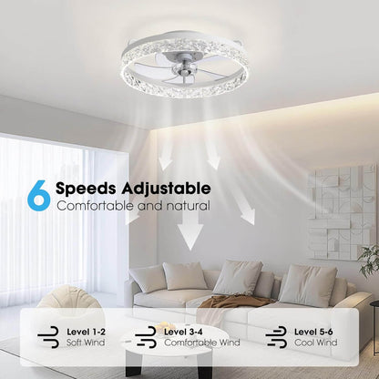 Stylish Black LED Ceiling Fan Light