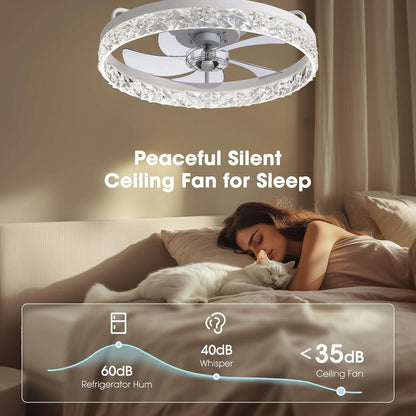 Stylish Black LED Ceiling Fan Light